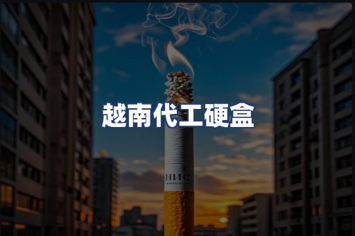 越南代工硬盒